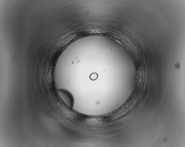 X0000099510422200805291153