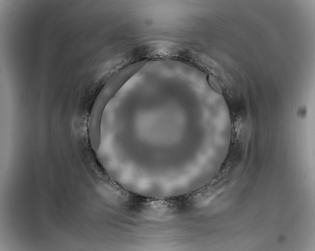 X0000099510423200805291153