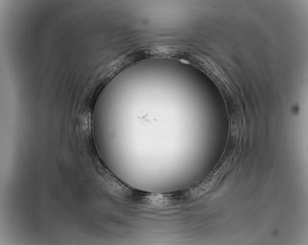 X0000099510425200805291153