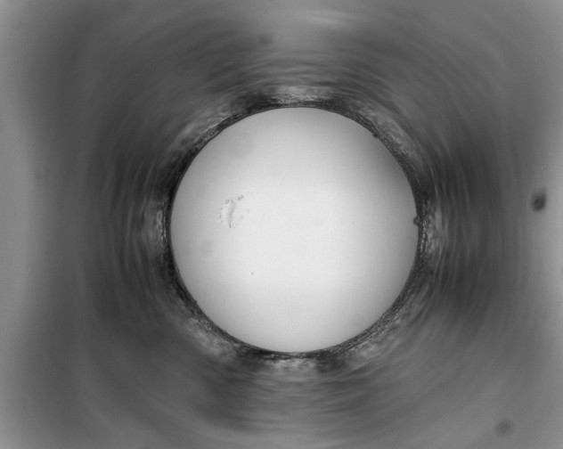 X0000099510426200805291153