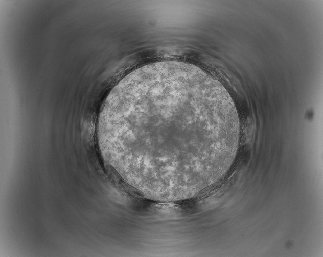 X0000099510427200805291153