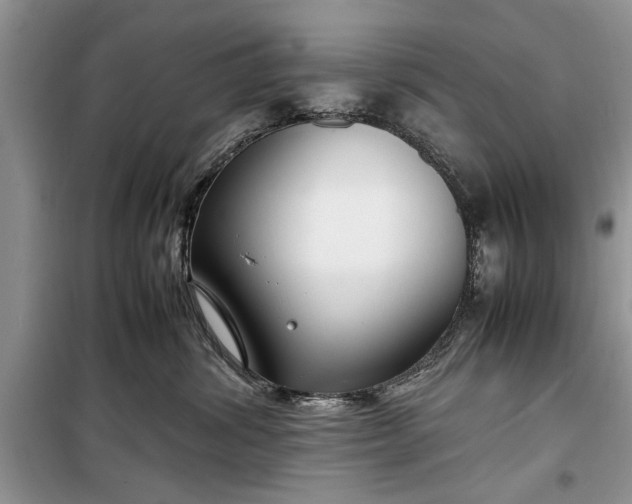 X0000099510428200805291153