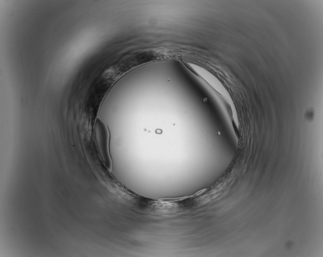 X0000099510429200805291153