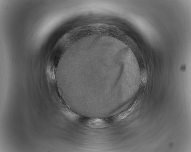 X0000099510431200805291153