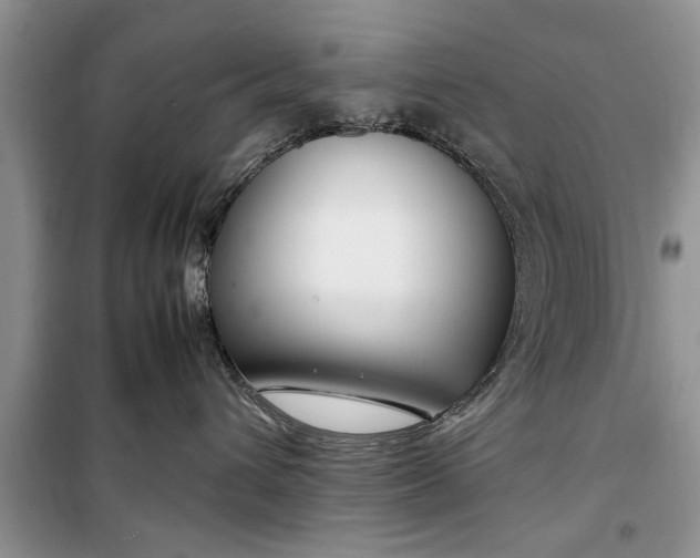 X0000099510432200805291153