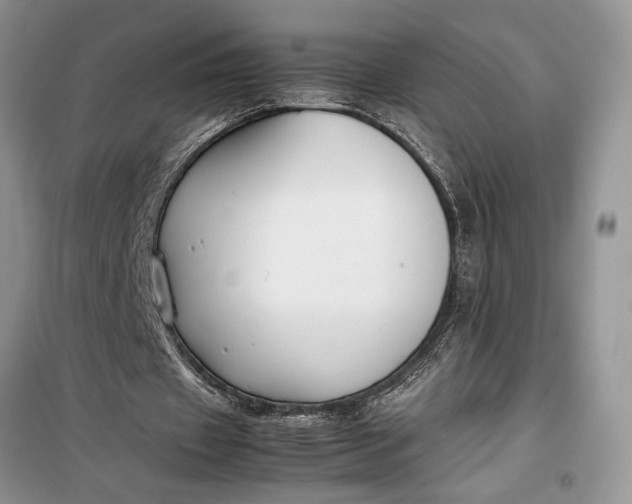 X0000099510433200805291153