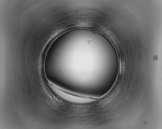 X0000099510435200805291153