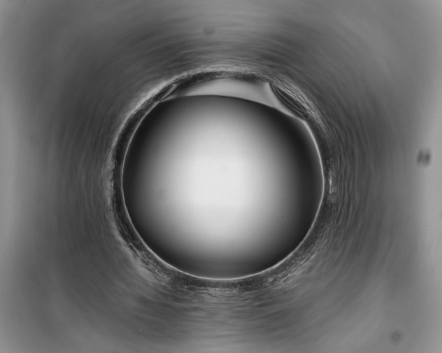 X0000099510436200805291153