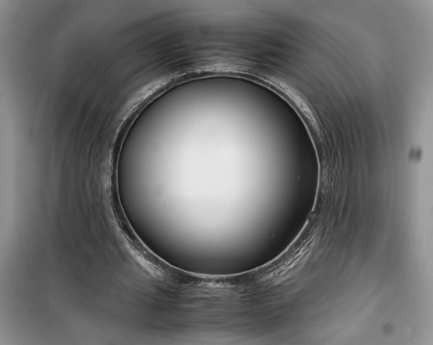 X0000099510437200805291153