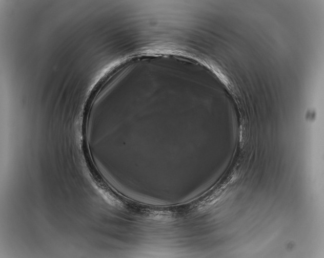 X0000099510438200805291153