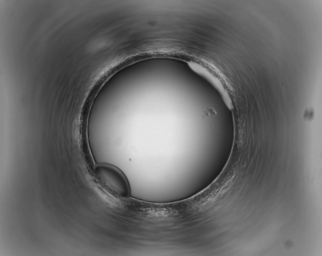 X0000099510439200805291153