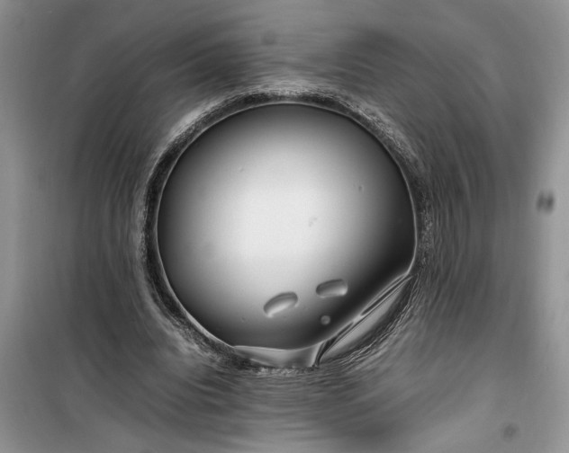 X0000099510440200805291153