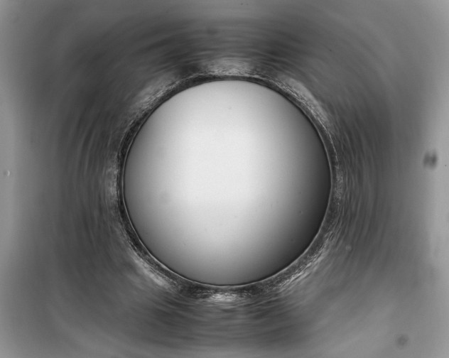 X0000099510441200805291153