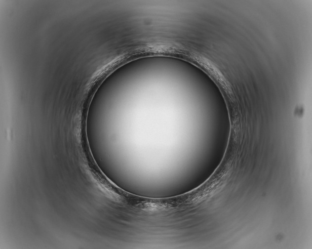 X0000099510442200805291153