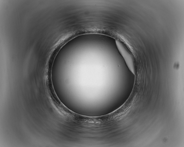 X0000099510443200805291153