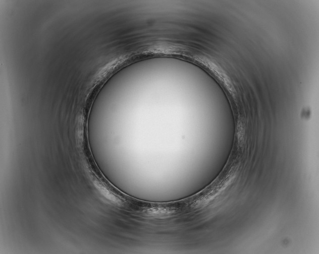 X0000099510445200805291153