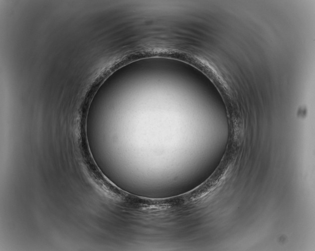 X0000099510447200805291153