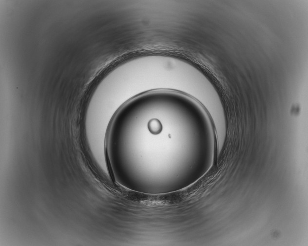 X0000099510448200805291153