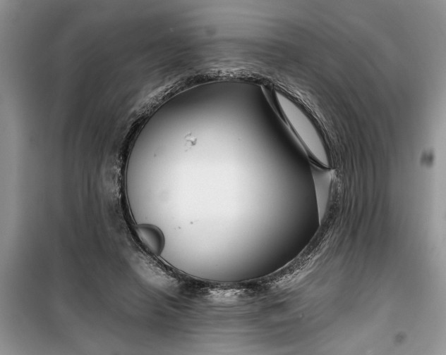 X0000099510450200805291153