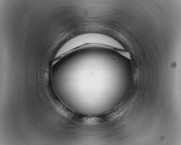 X0000099510452200805291153