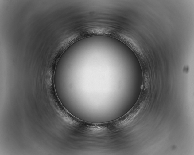 X0000099510453200805291153