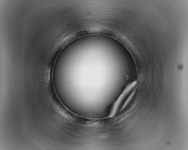 X0000099510454200805291153