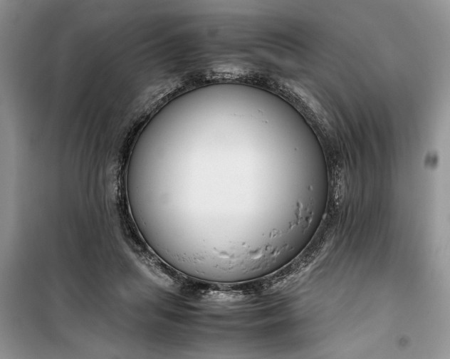 X0000099510455200805291153