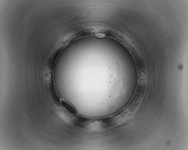 X0000099510456200805291153