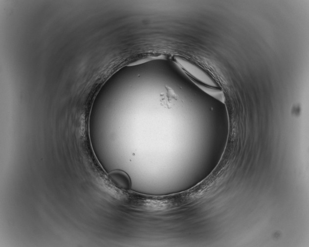 X0000099510457200805291153