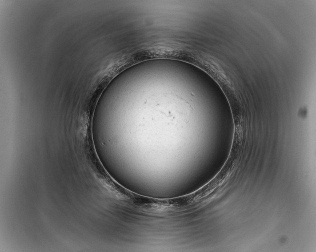 X0000099510458200805291153