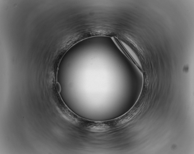 X0000099510459200805291153