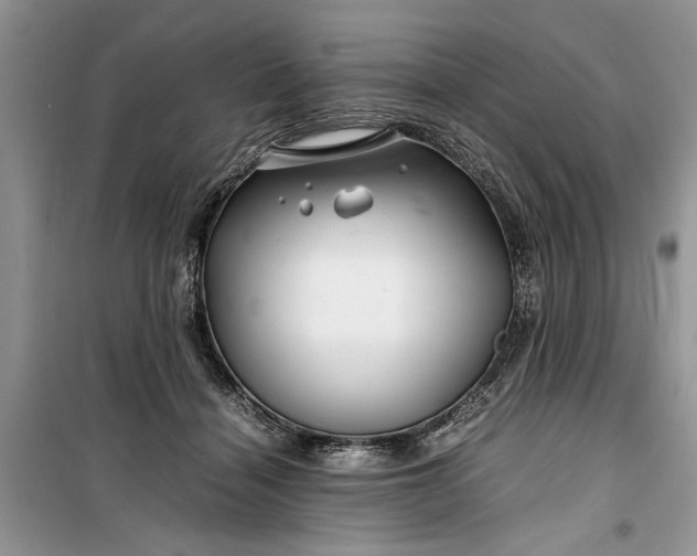 X0000099510460200805291153