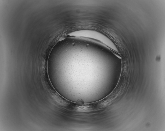 X0000099510461200805291153