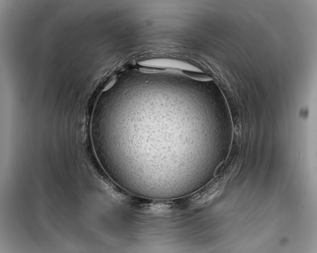 X0000099510462200805291153