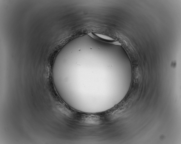 X0000099510463200805291153