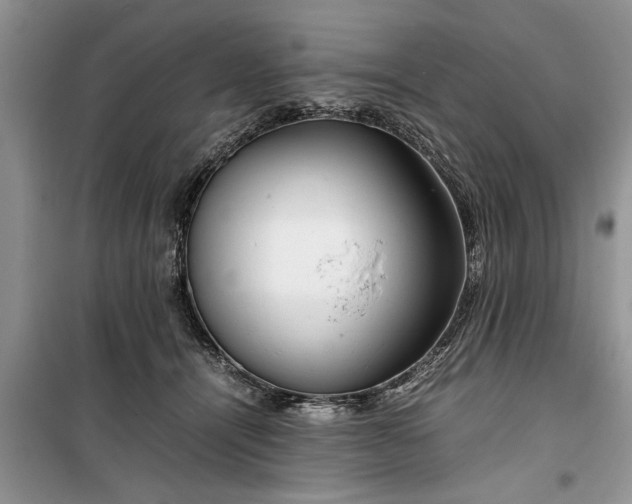 X0000099510464200805291153