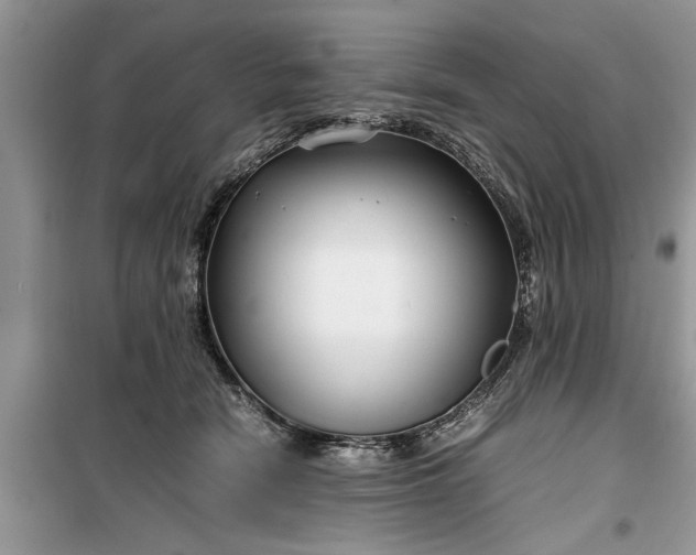 X0000099510466200805291153