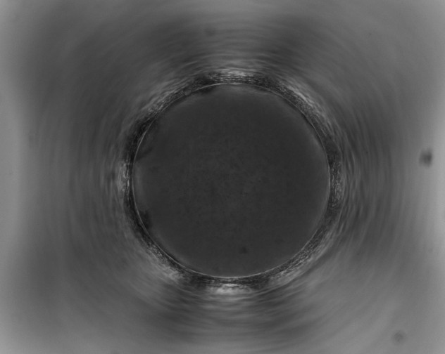 X0000099510467200805291153