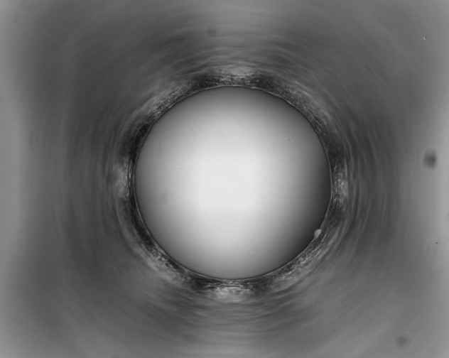 X0000099510468200805291153