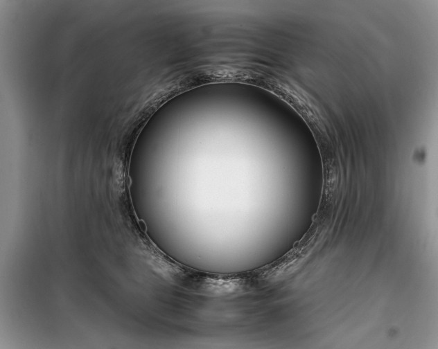 X0000099510469200805291153