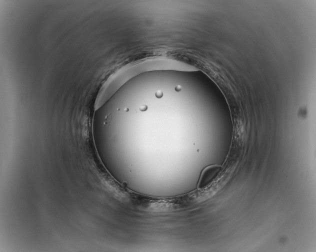 X0000099510470200805291153