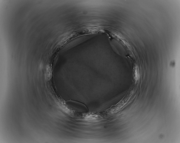 X0000099510471200805291153