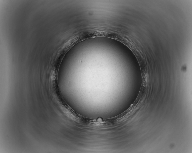 X0000099510472200805291153