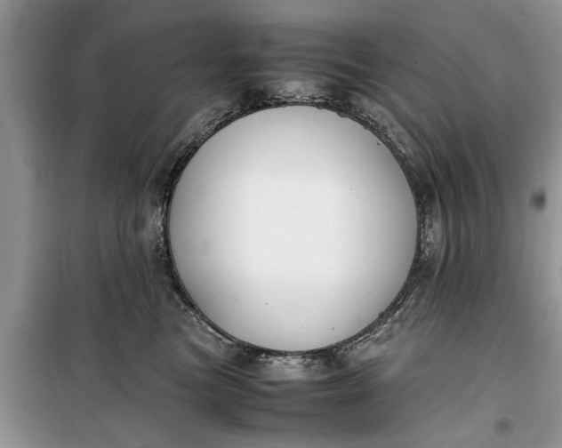 X0000099510473200805291153