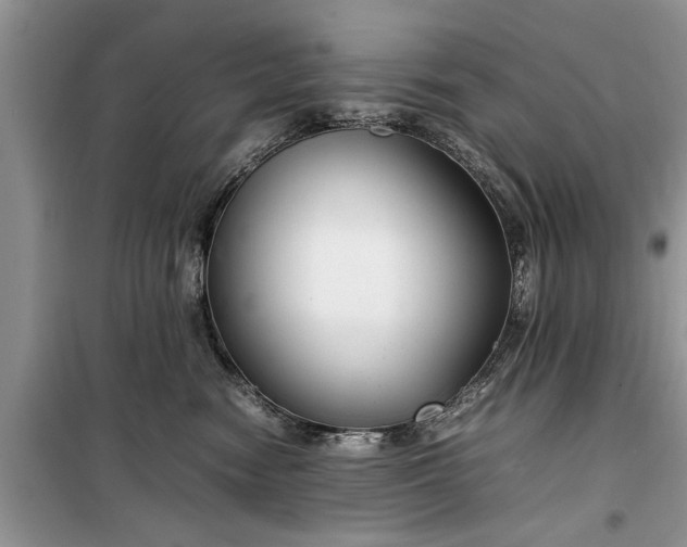 X0000099510474200805291153