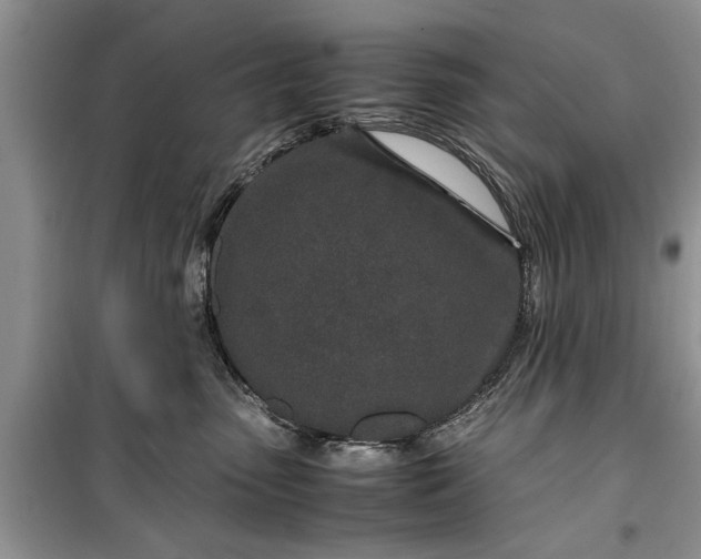 X0000099510475200805291153