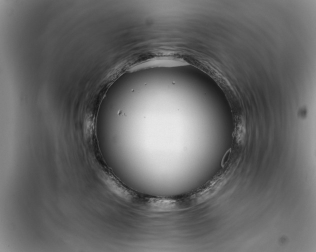 X0000099510476200805291153