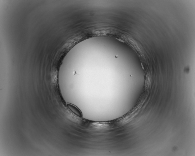 X0000099510477200805291153