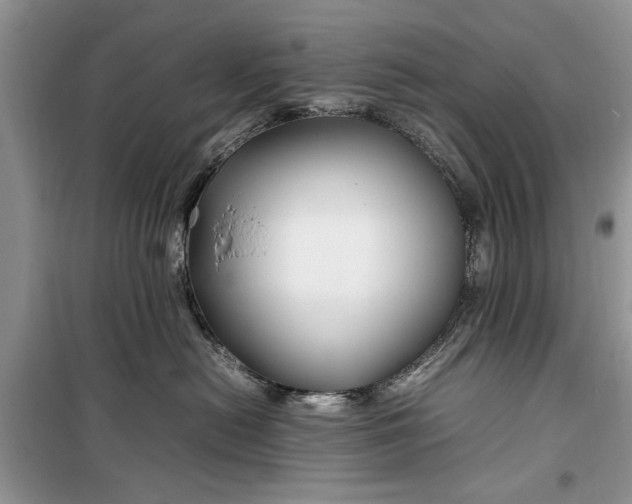 X0000099510478200805291153