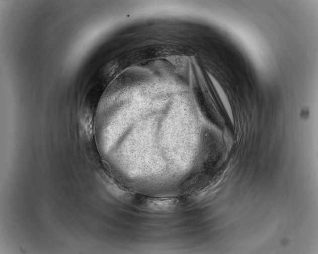 X0000099510479200805291153